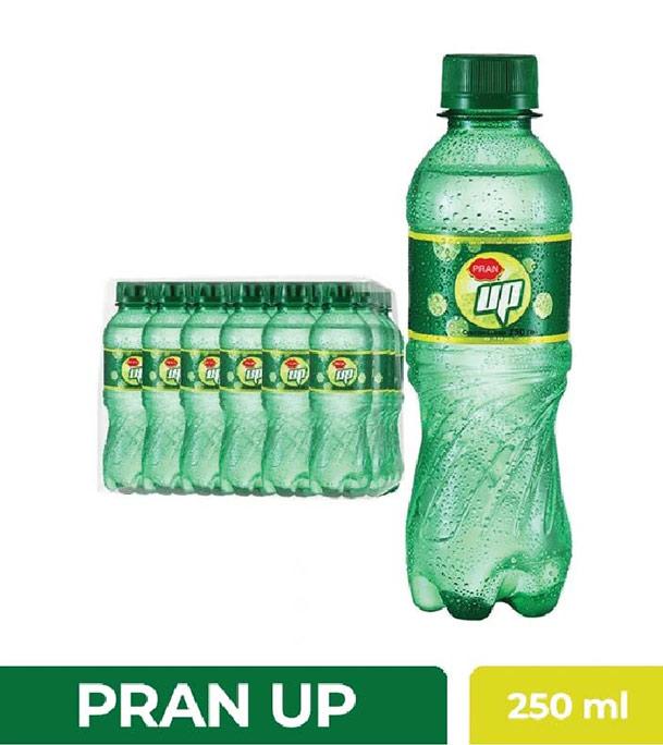 Pran up 250 ml Mint